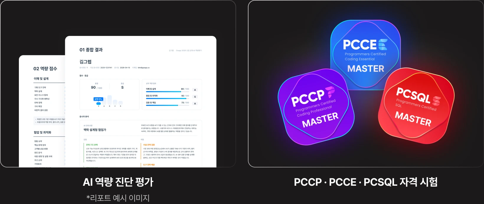 AI 역량 진단 평가 리포트 예시 이미지와 PCCP·PCCE·PCSQL 자격 시험